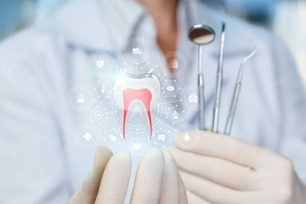 Why Choose Us for Your Dental Needs in Port Salerno, FL